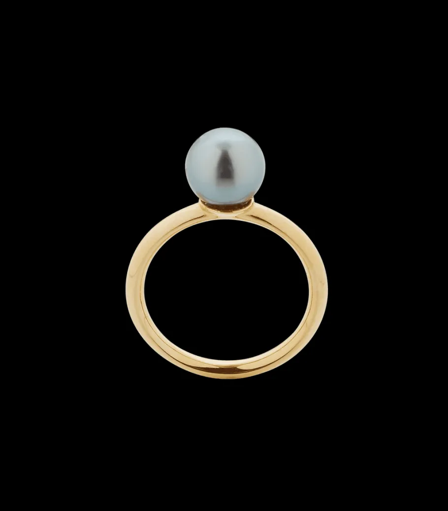 cumulus_ring_simpel_2.webp Cumulus ring, simpel*P. Hertz Hot